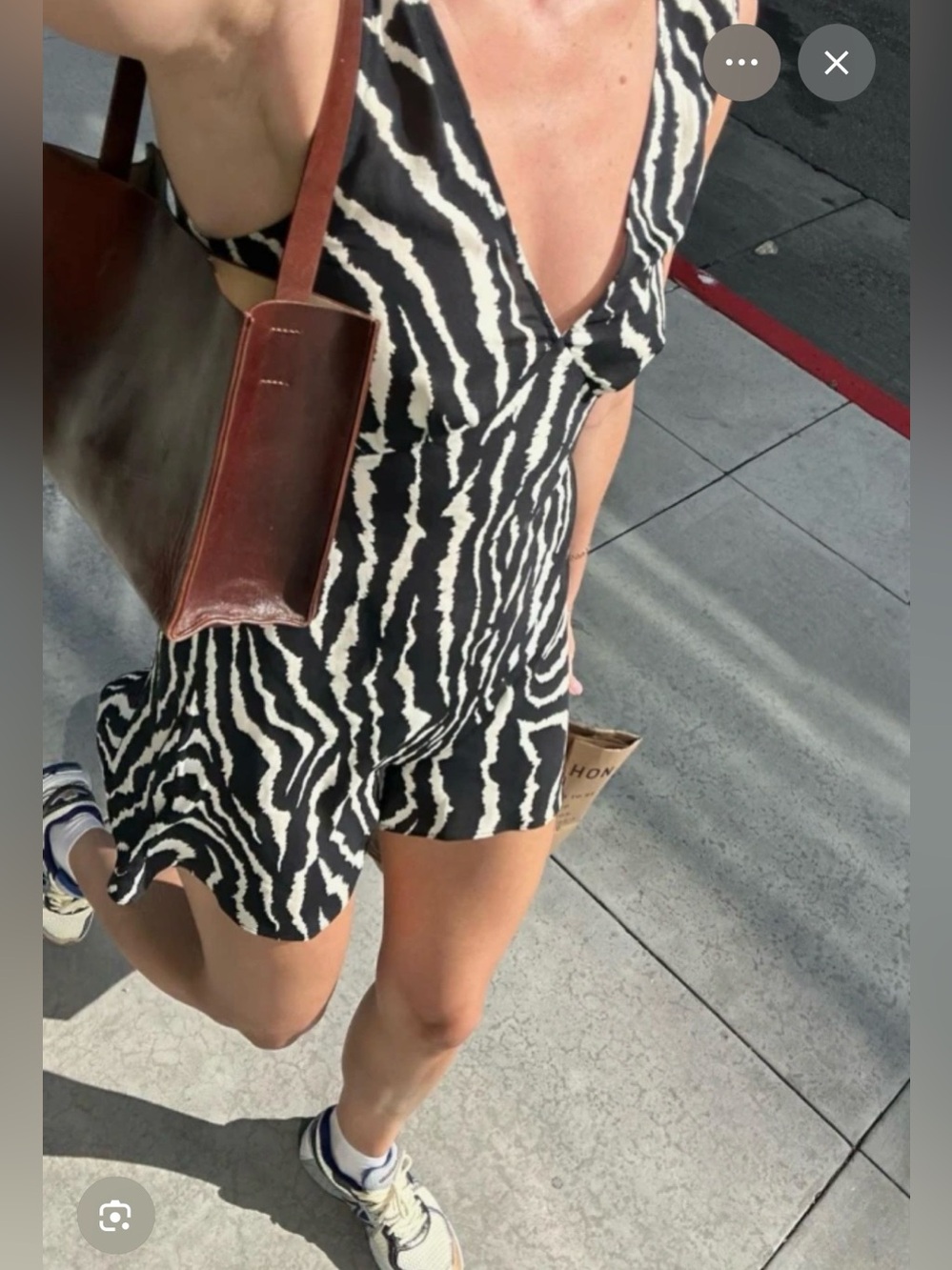 NWT Realisation Par Isabelli Mini Dress Zebra Print A-Line V-Neck EDC Dress L - Picture 5 of 12